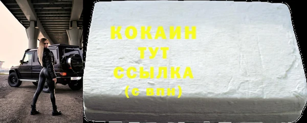 PSILOCYBIN Слюдянка