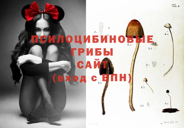 бошки Семёнов