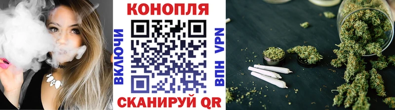 Бошки марихуана семена  darknet формула  Судогда 